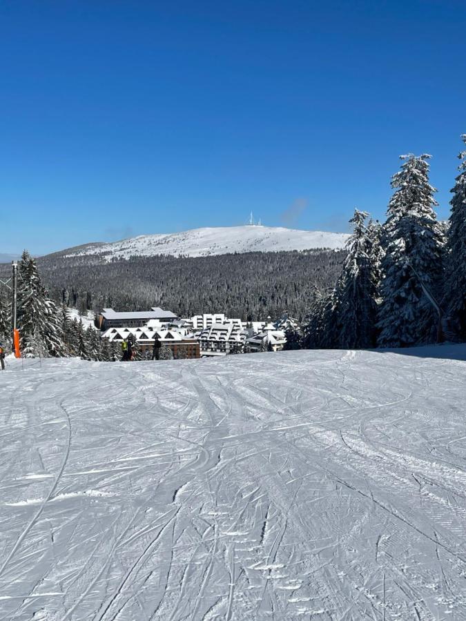 Woodside Apartment 431, Kopaonik - One Separate Bedroom 35M2- Free Parking & Spa Exterior photo